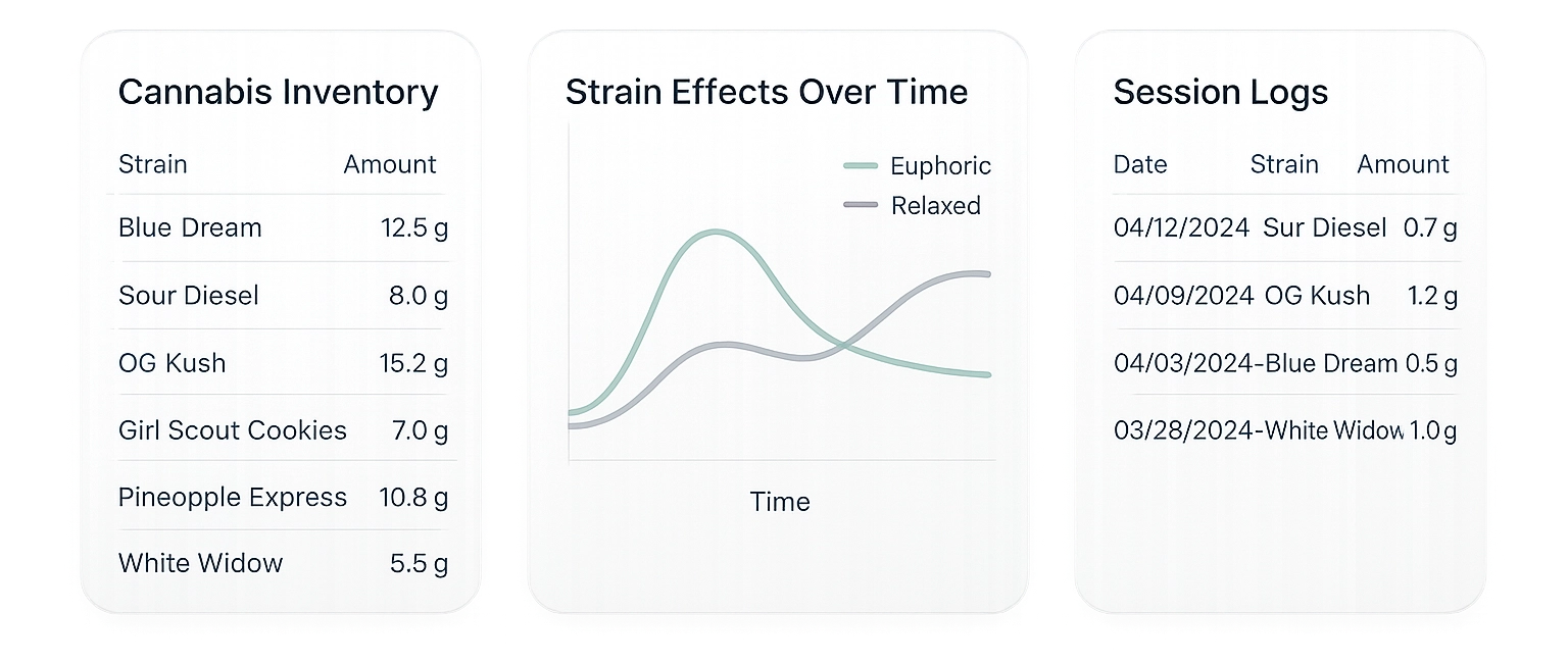 Personal insights dashboard